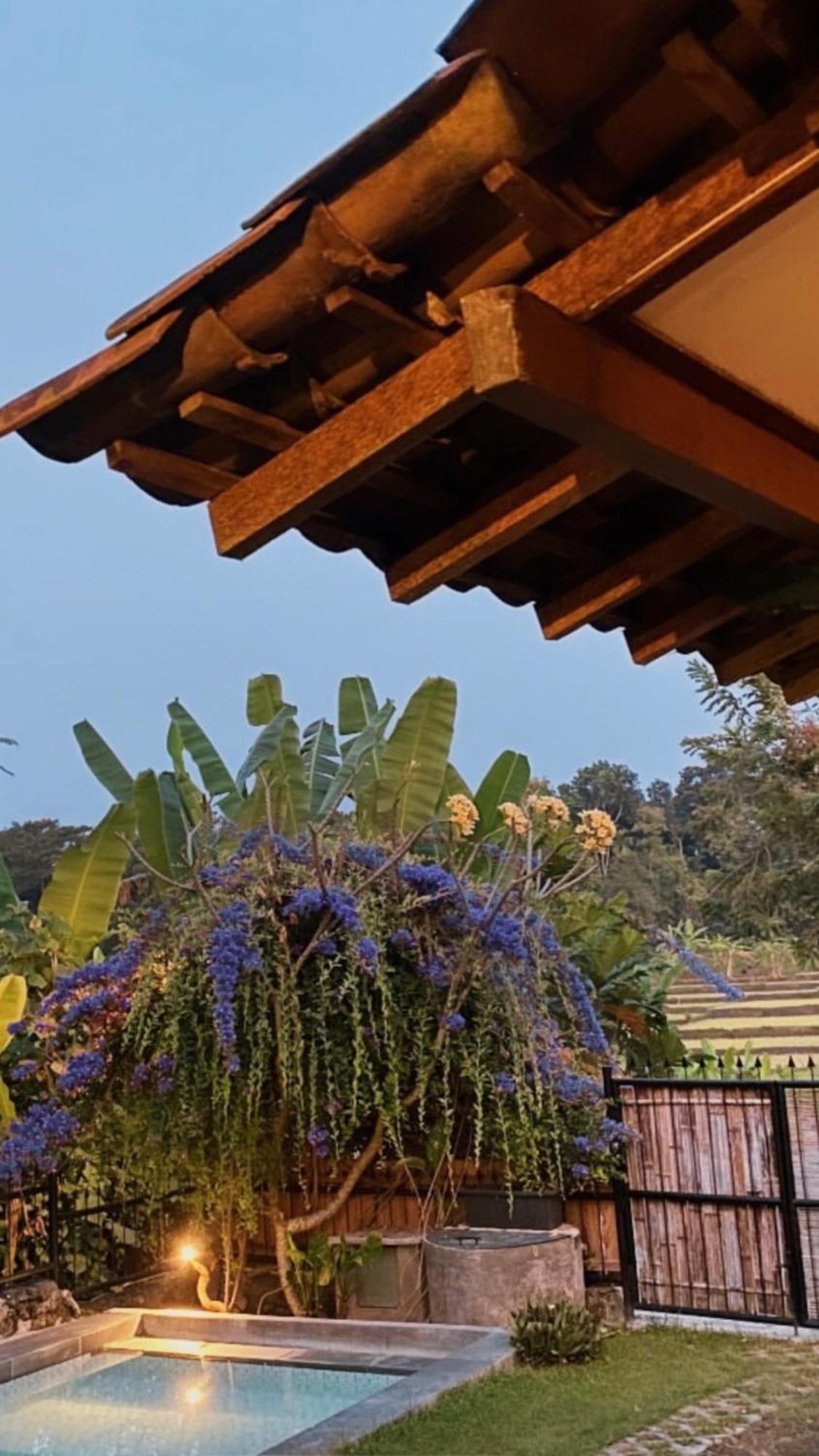 Villa Nextdoor Nature Yogyakarta Bantul Exterior foto
